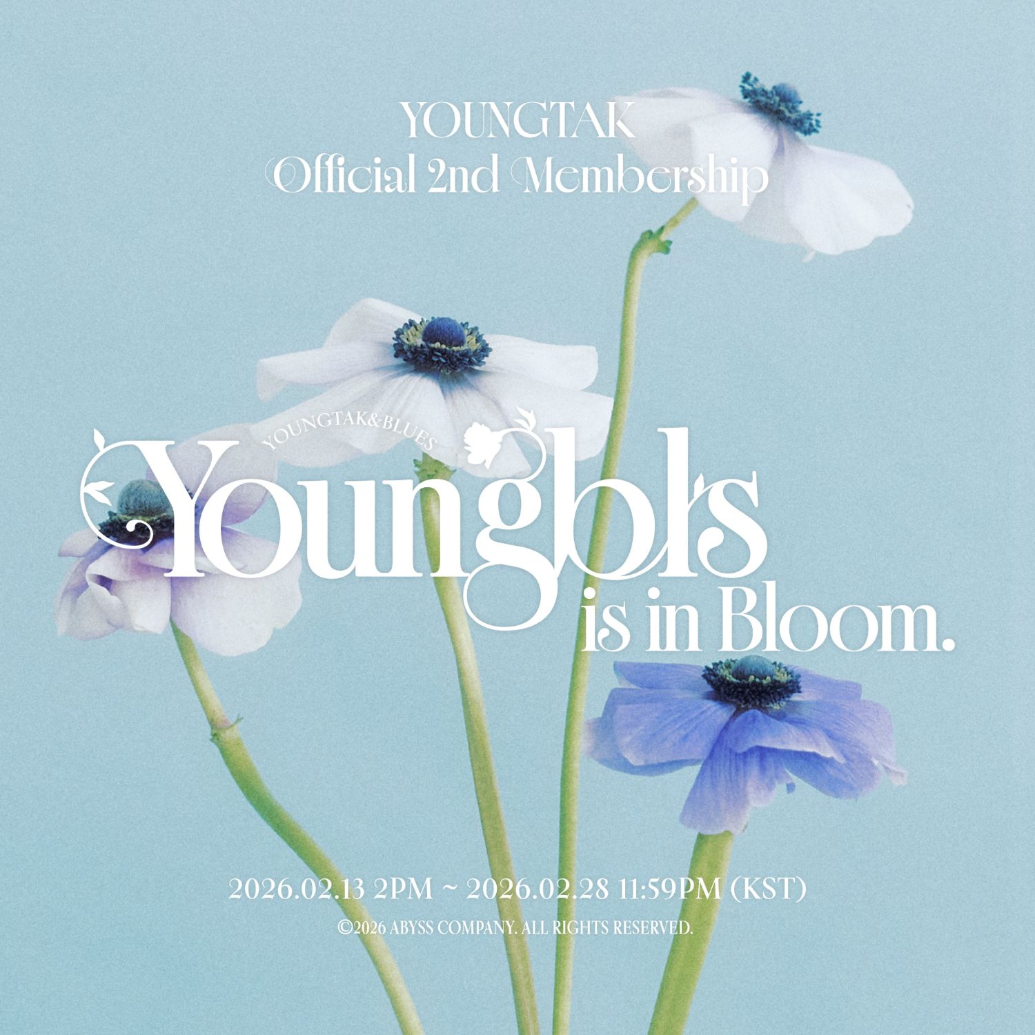 永卓的最新照片