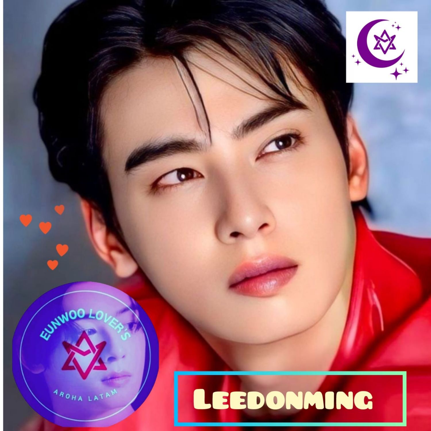 ファンが撮影したチャ・ウヌの瞬間