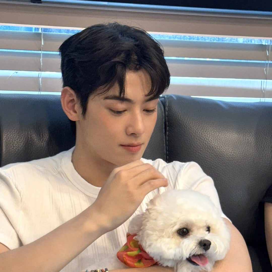 粉丝拍下的车银优瞬间