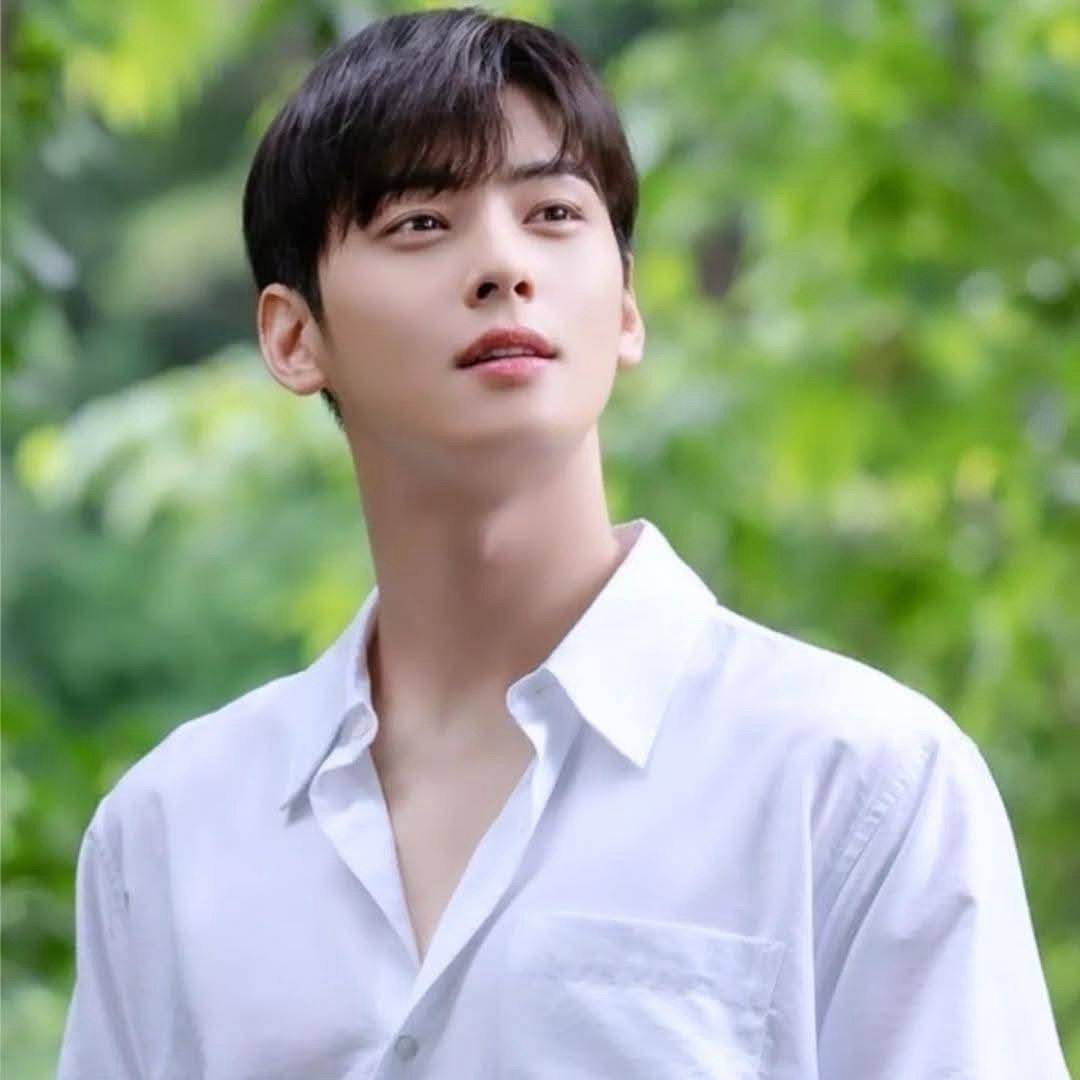 Momen yang diabadikan oleh penggemar Cha Eunwoo