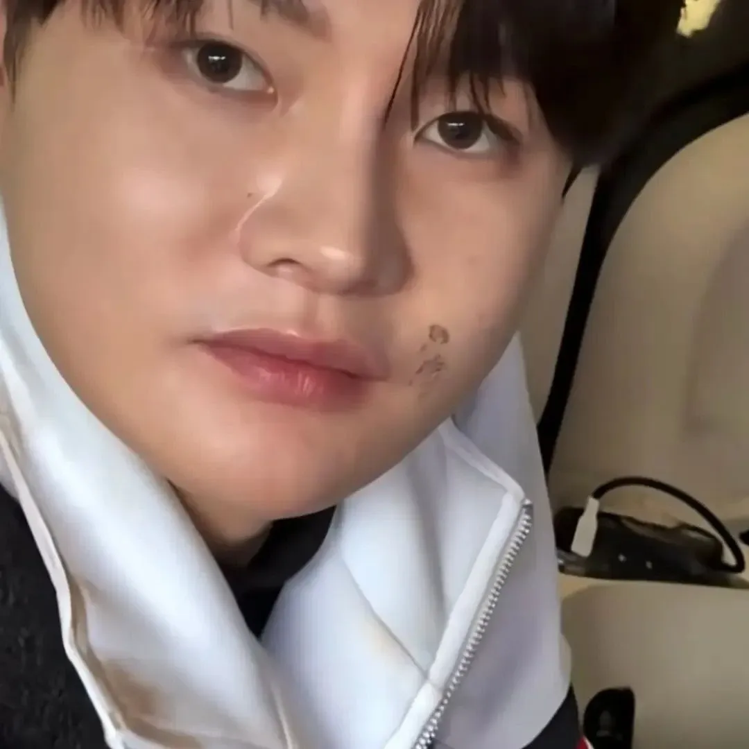 박서진의 최신 사진