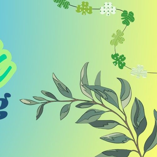 Recent activity shot of Park Boyoung