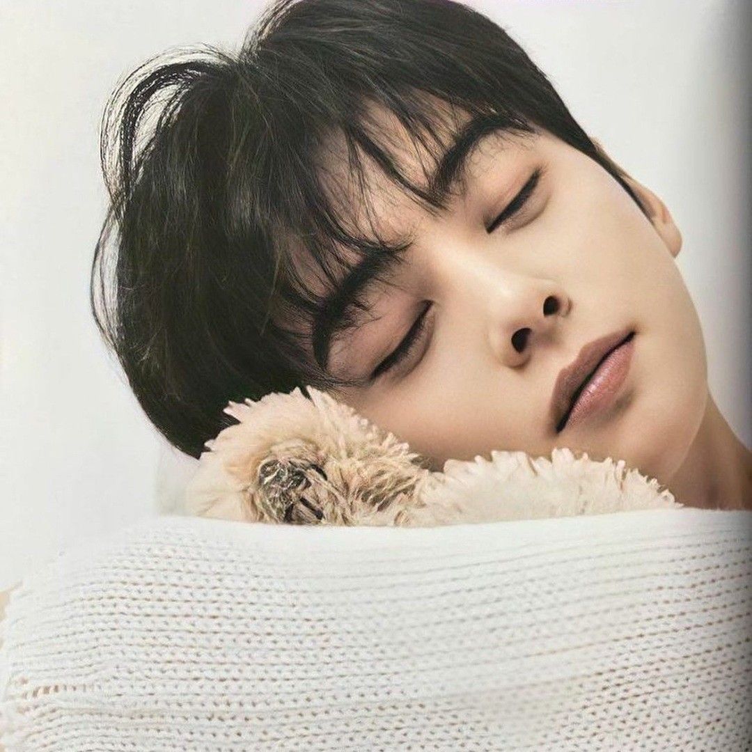 ファンが撮影したチャ・ウヌの瞬間