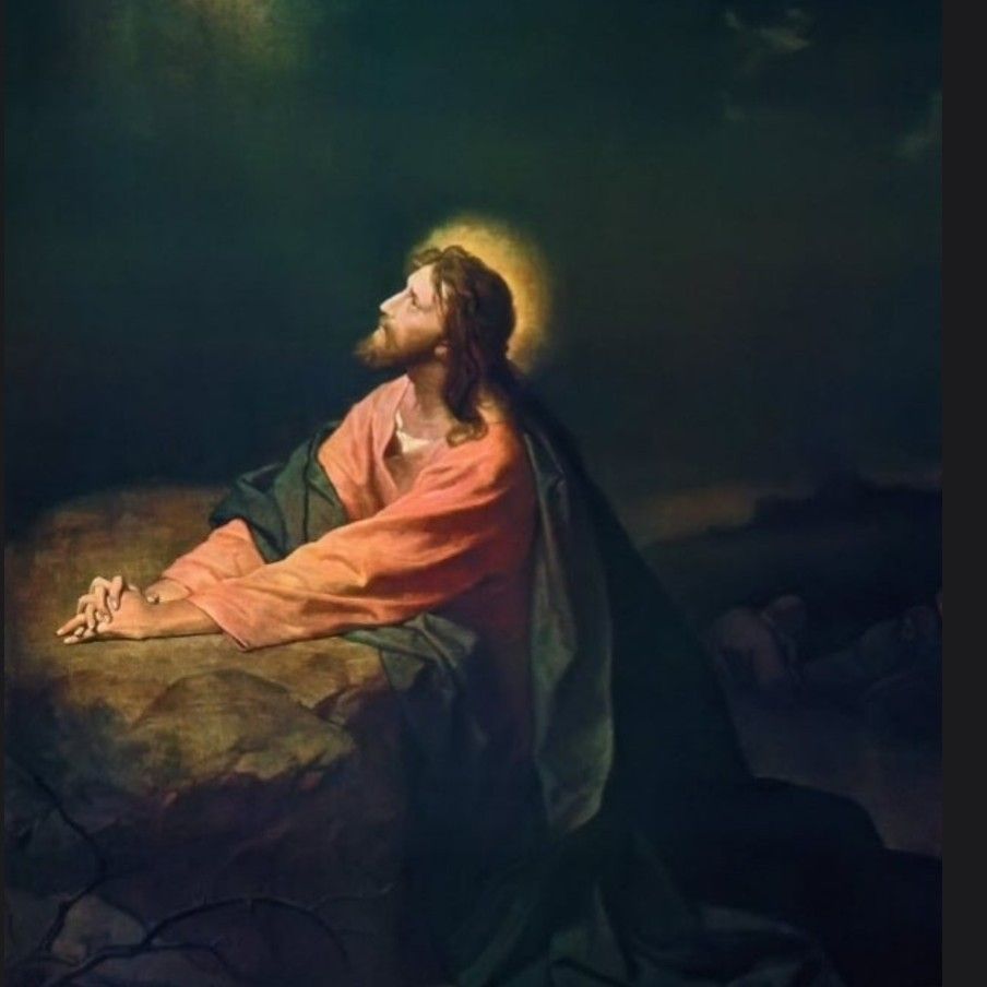 ファンが撮影したキム・ホジュンの瞬間