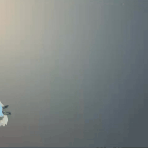 community_articles_contents