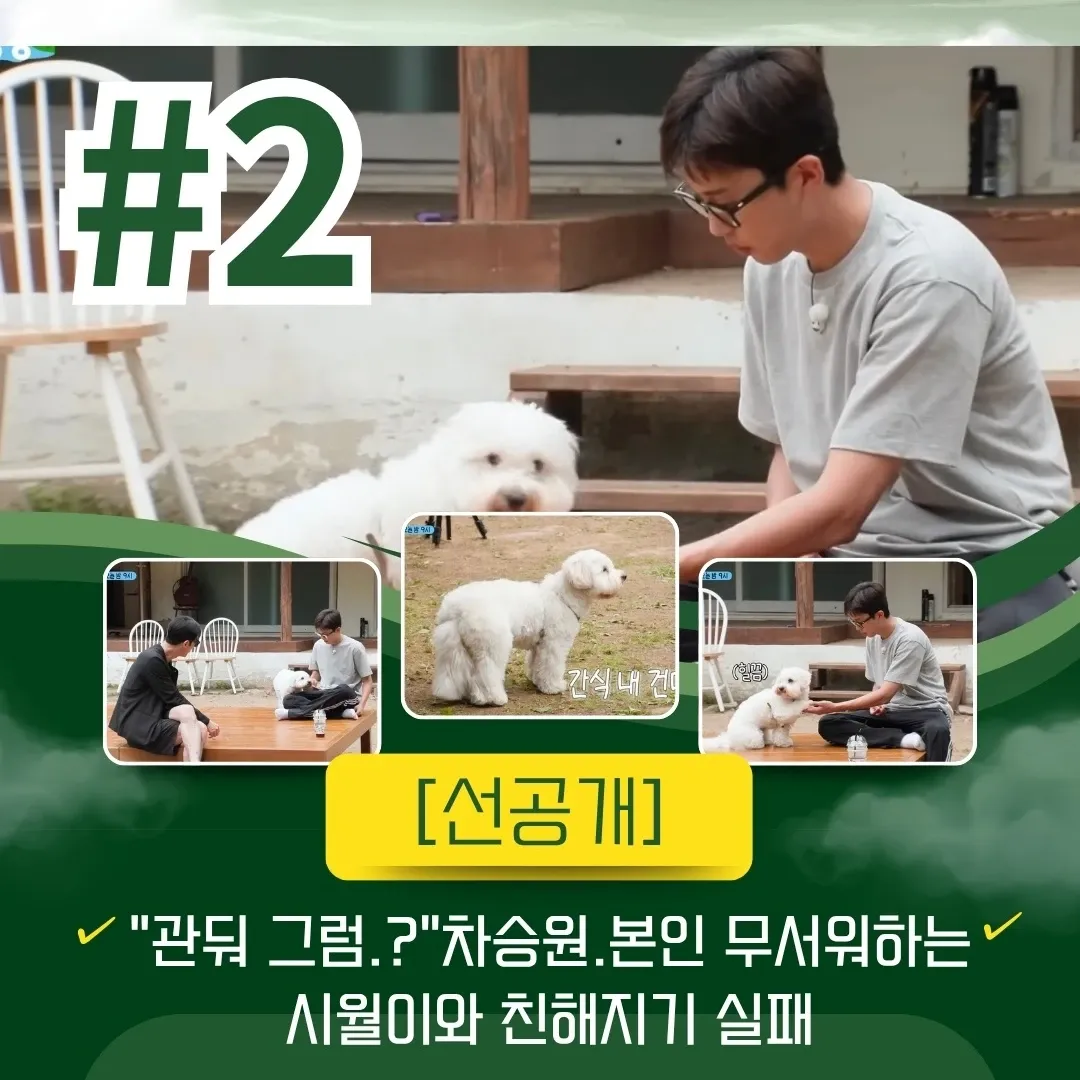 Foto kegiatan terbaru dari Lim Youngwoong