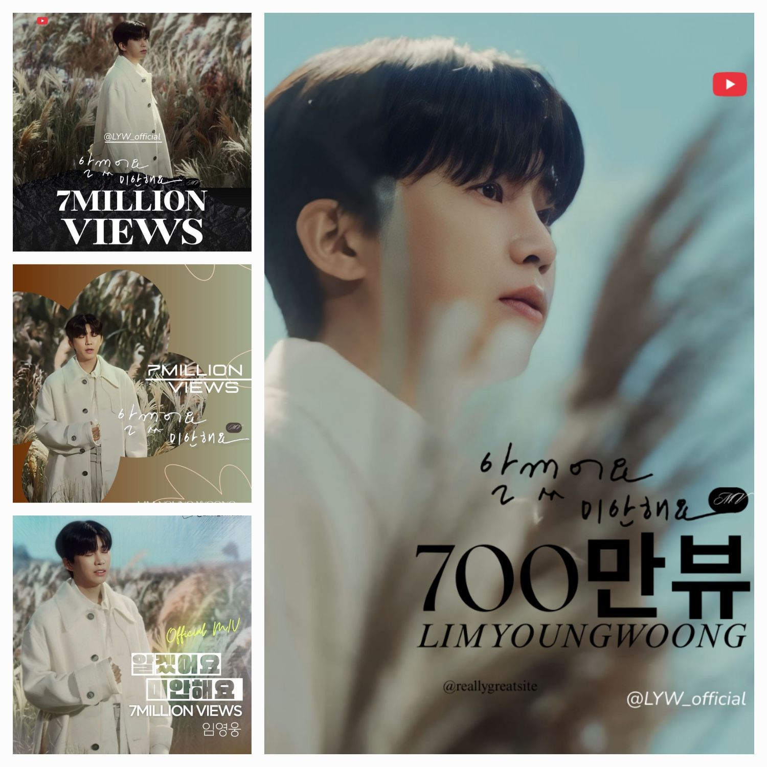 임영웅 팬이 찍은 순간