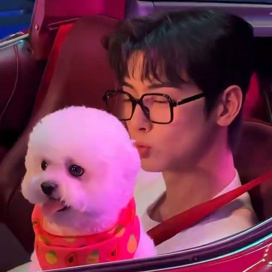 車銀優的近期活動照