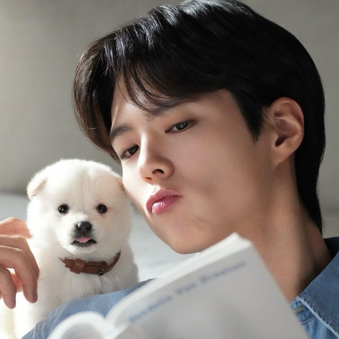 A moment captured by a fan of Park Bogum