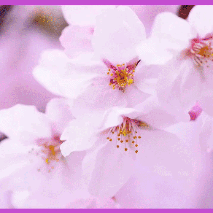 Behind-the-scenes cut of Hwang Youngwoong