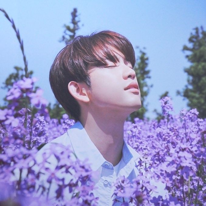 朴珍荣的最新照片