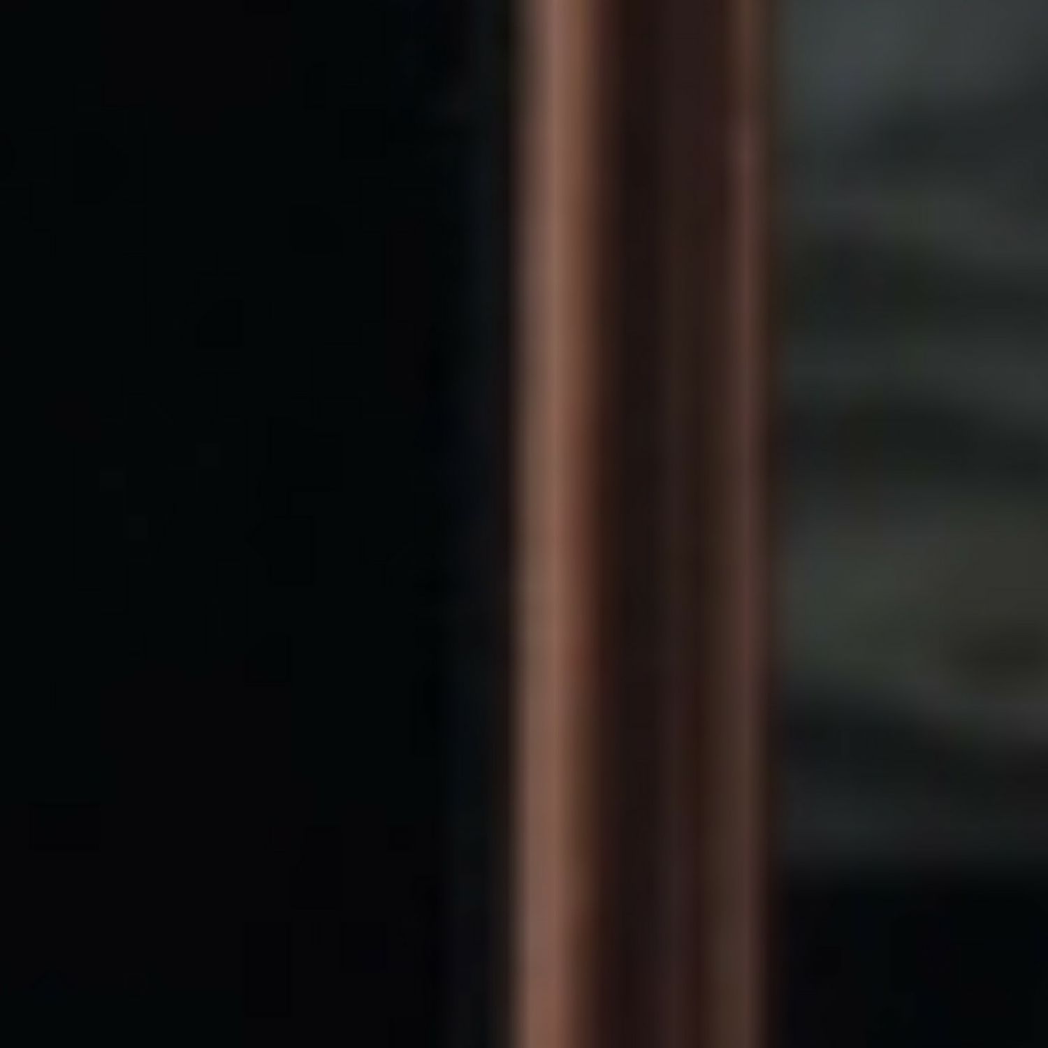 文彩元的近期活動照