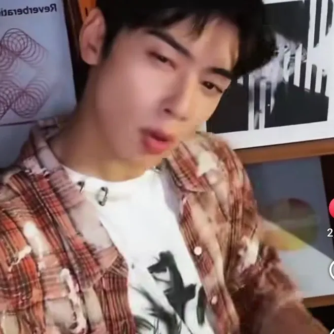 A moment captured by a fan of Cha Eunwoo
