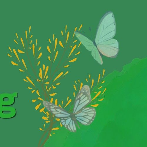 Latest photo of Park Boyoung