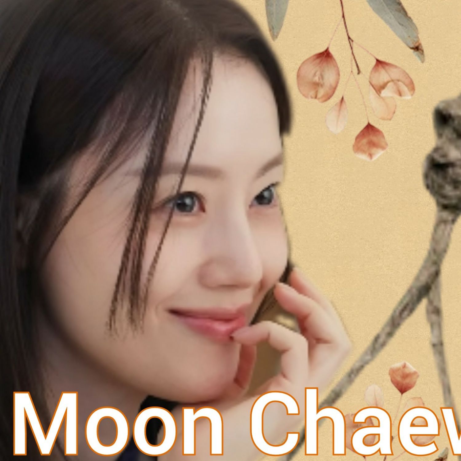 Latest photo of Moon Chaewon