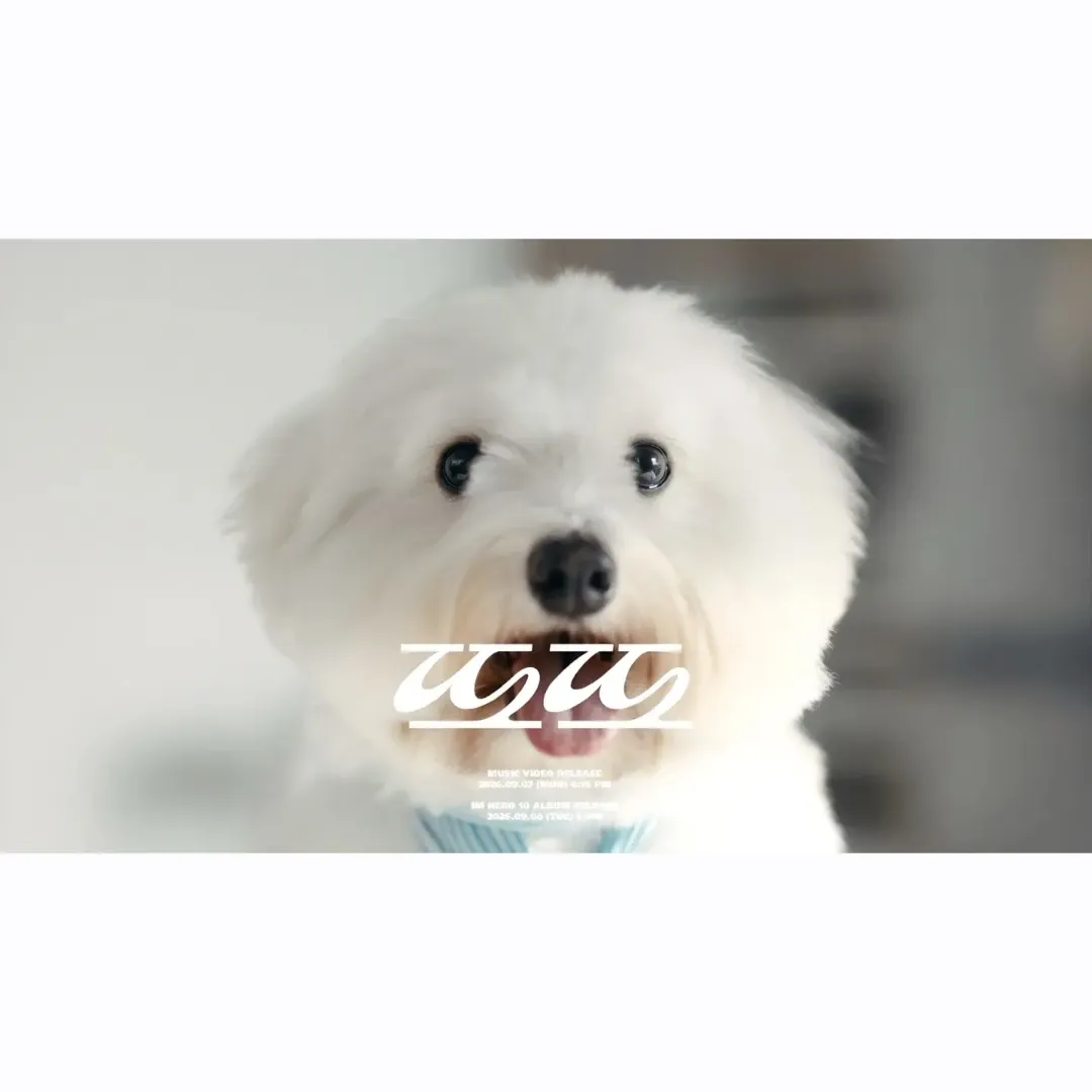 Foto kegiatan terbaru dari Lim Youngwoong