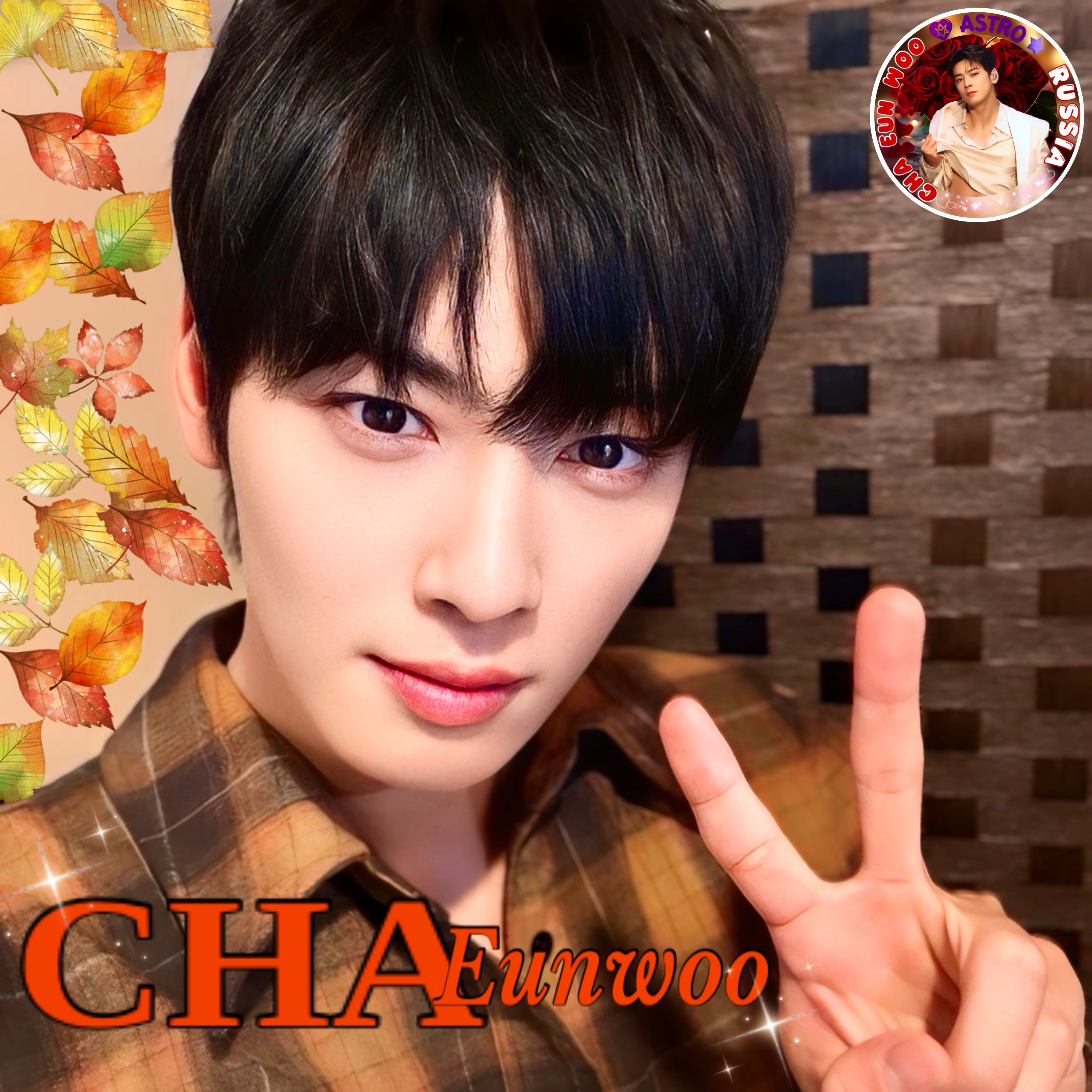 Recent activity shot of Cha Eunwoo