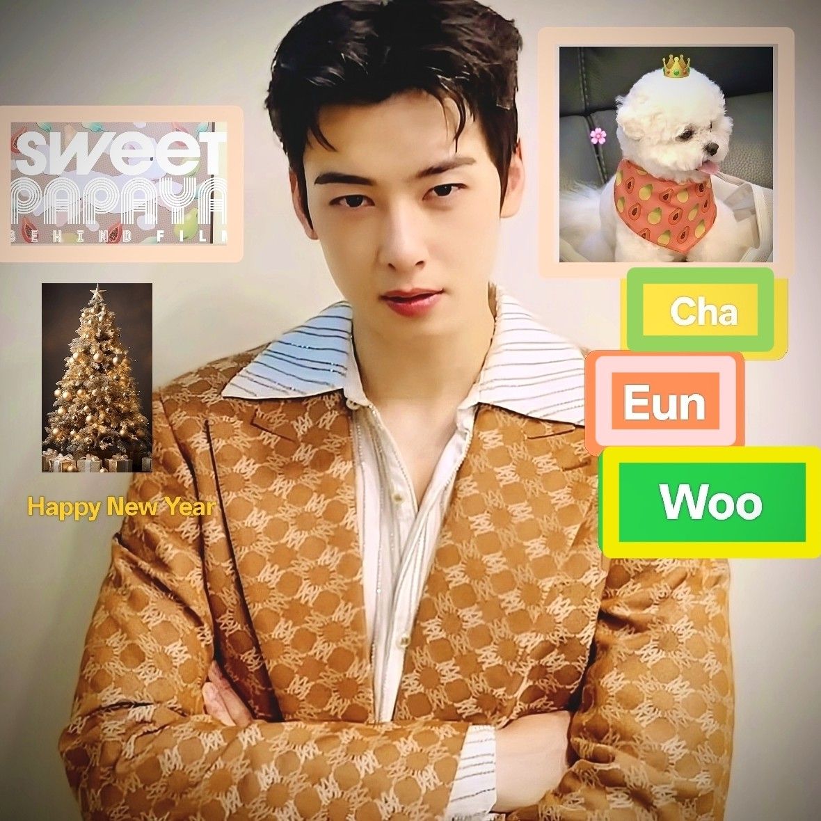 車銀優的幕後花絮