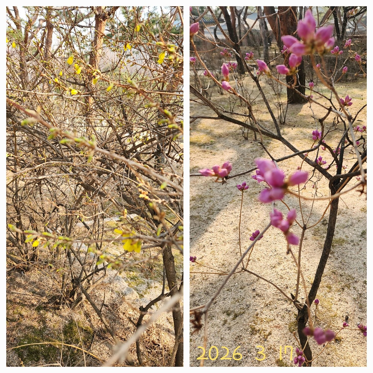 ファンが撮影したチン・ヘソンの瞬間