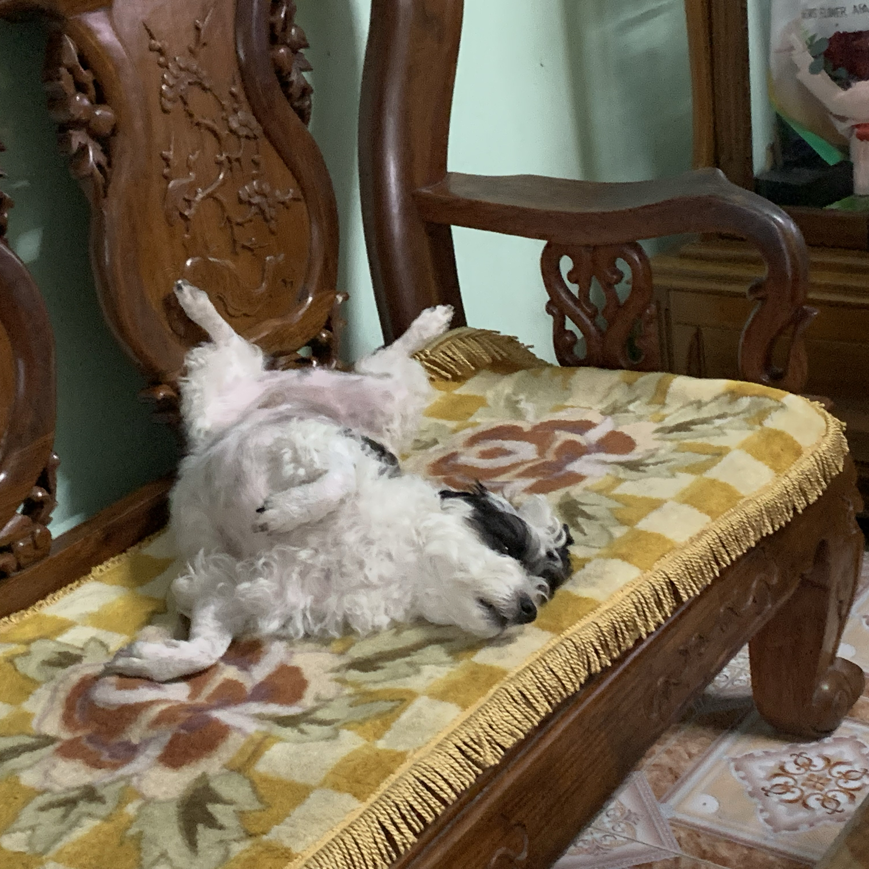 Gumayusiの最新写真