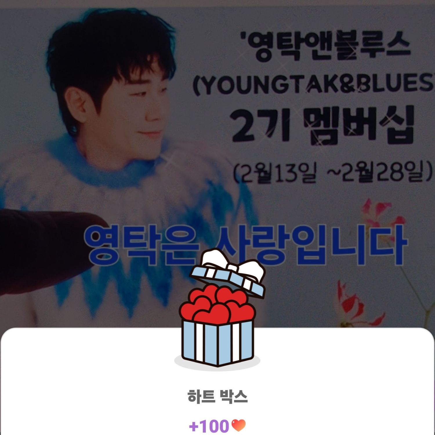 영탁 팬이 찍은 순간