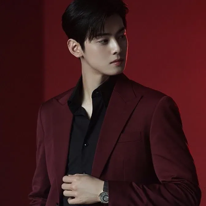 A moment captured by a fan of Cha Eunwoo