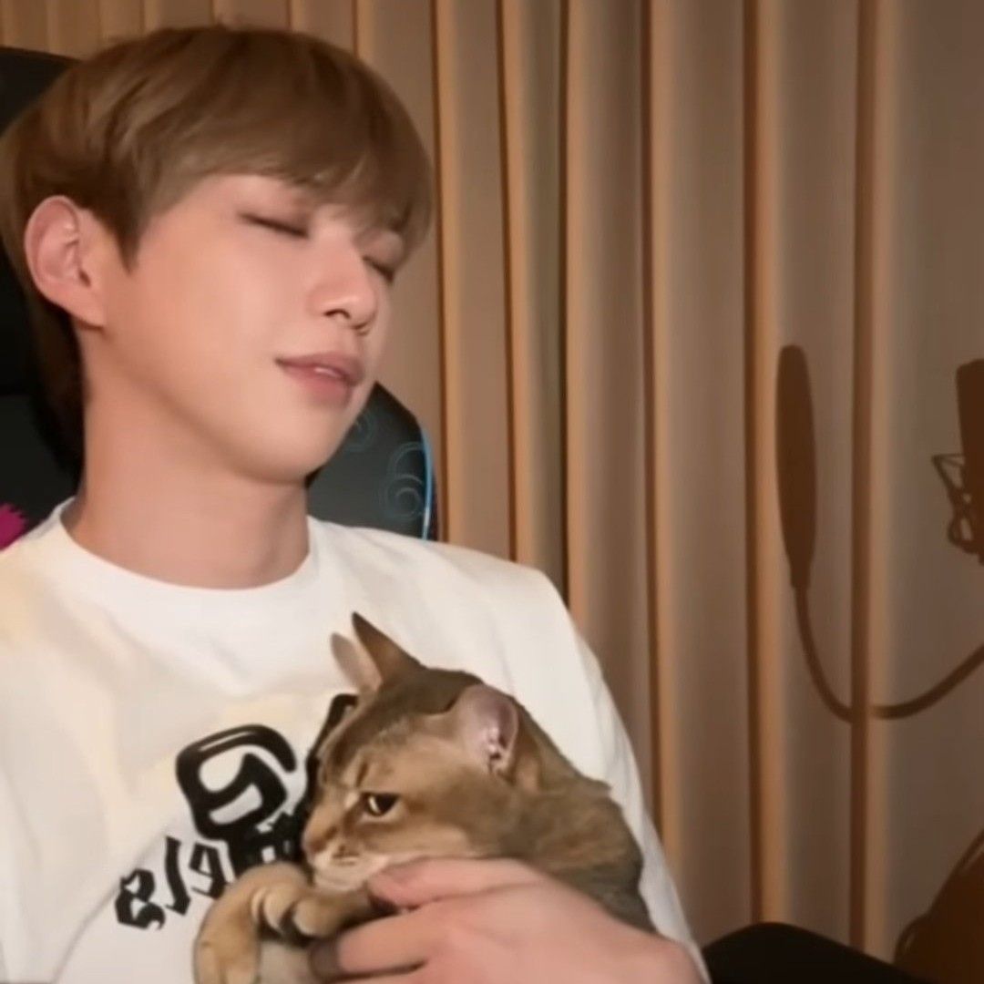 粉丝拍下的秘密空间瞬间