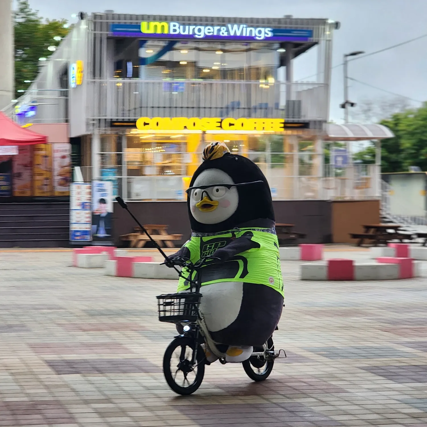 ペンスの最新写真