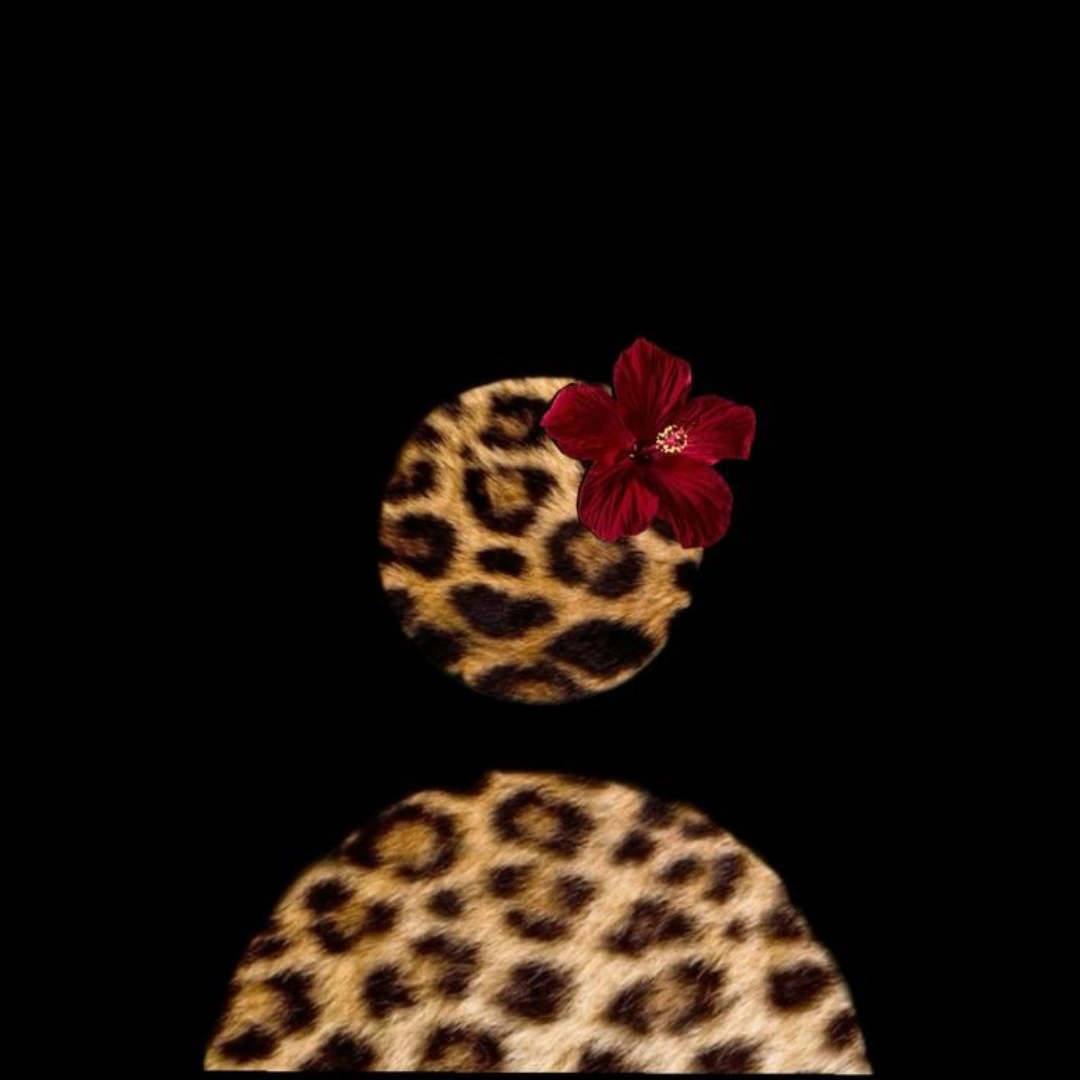 A moment captured by a fan of Yoo Yeonseok