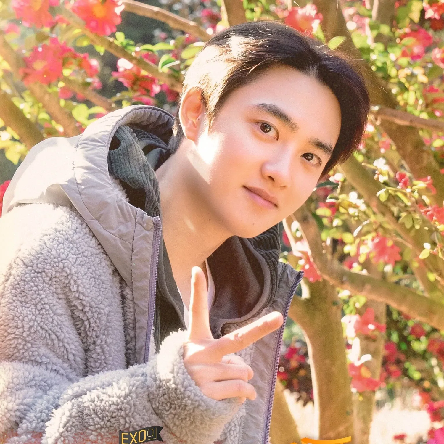 도경수 (디오) 최근 활동샷
