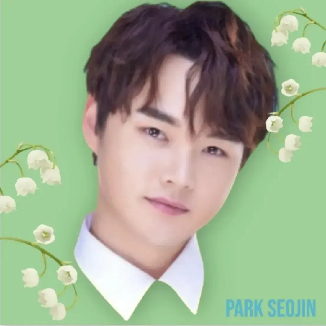 박서진의 최신 사진