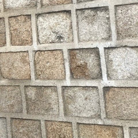 Behind-the-scenes cut of Bona