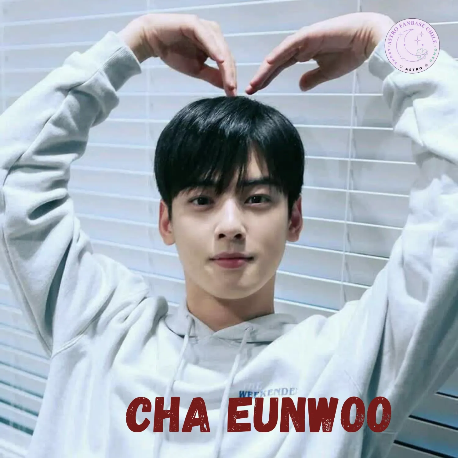 Recent activity shot of Cha Eunwoo