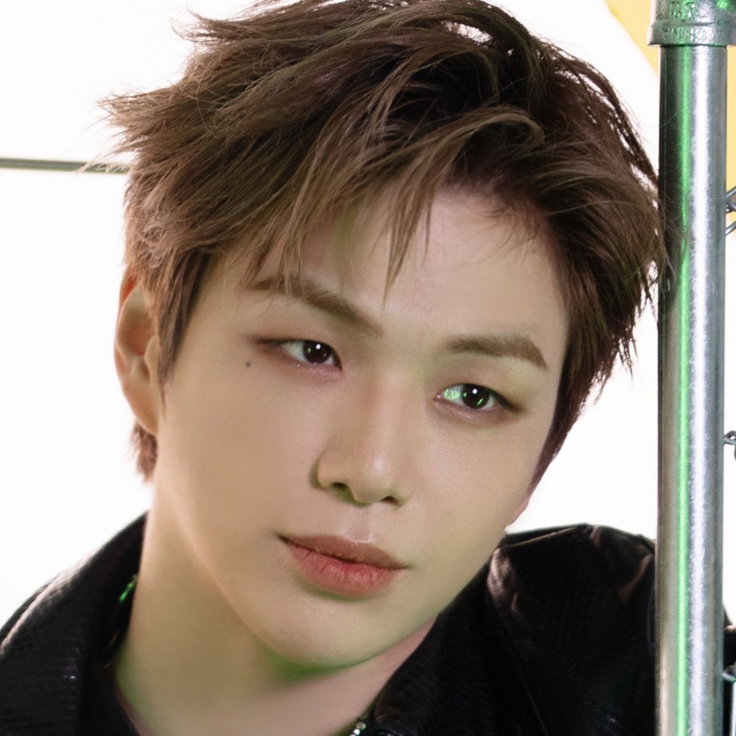 비밀의 방 팬이 찍은 순간