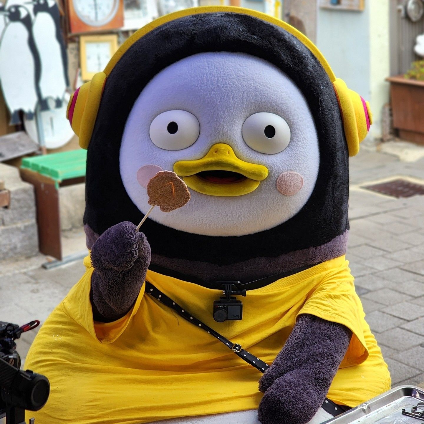 朋秀的最新照片