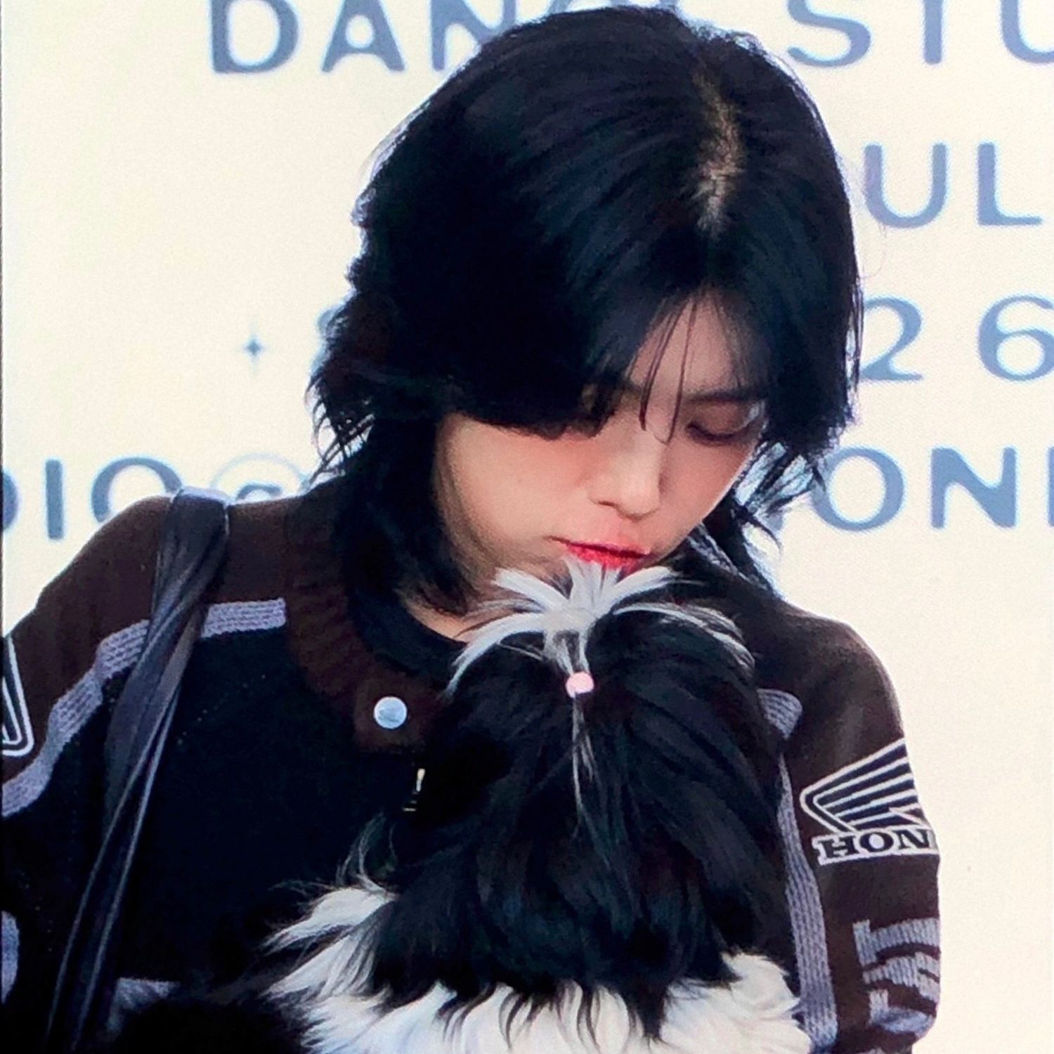 Latest photo of Aiki