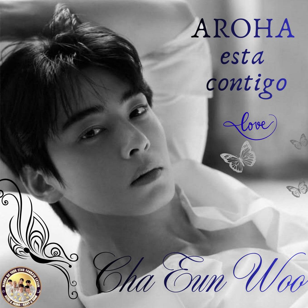 Recent activity shot of Cha Eunwoo