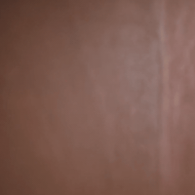 Latest photo of Chani