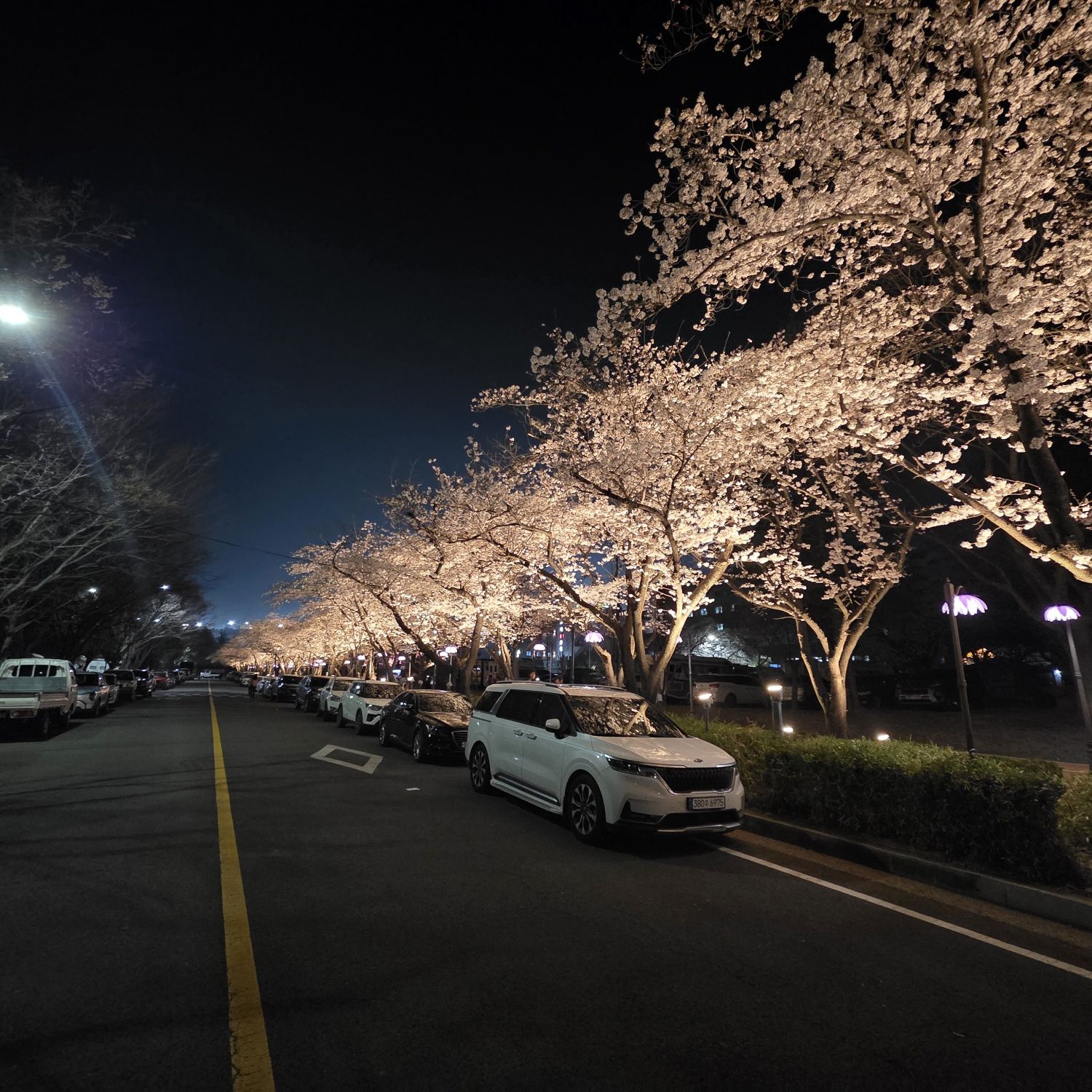 Momen yang diabadikan oleh penggemar Lee Chanwon