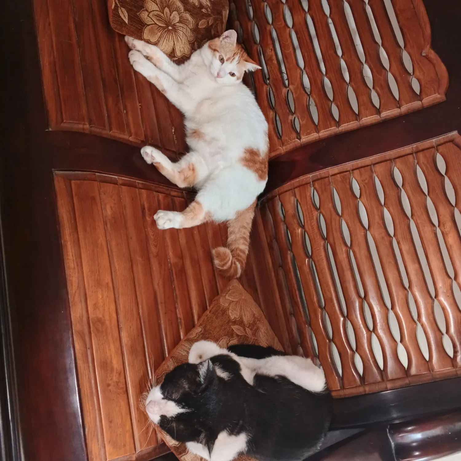 Behind-the-scenes cut of Lee Seunggi