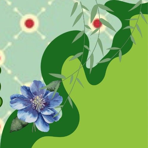 Latest photo of Park Boyoung