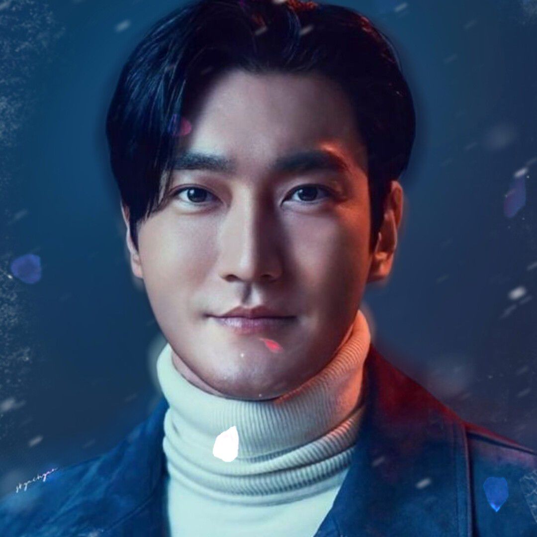 A moment captured by a fan of Choi Siwon