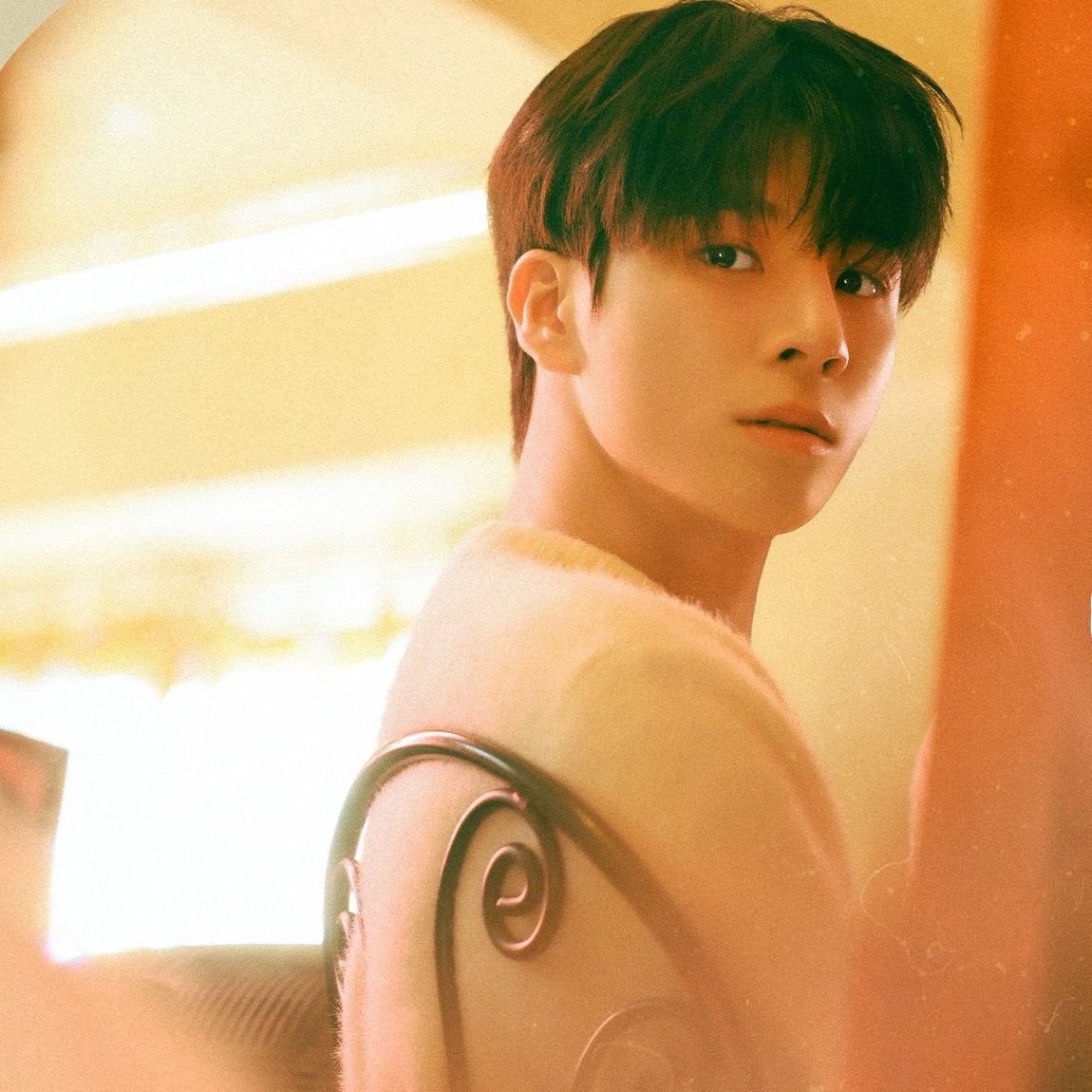 郑东元的幕后花絮