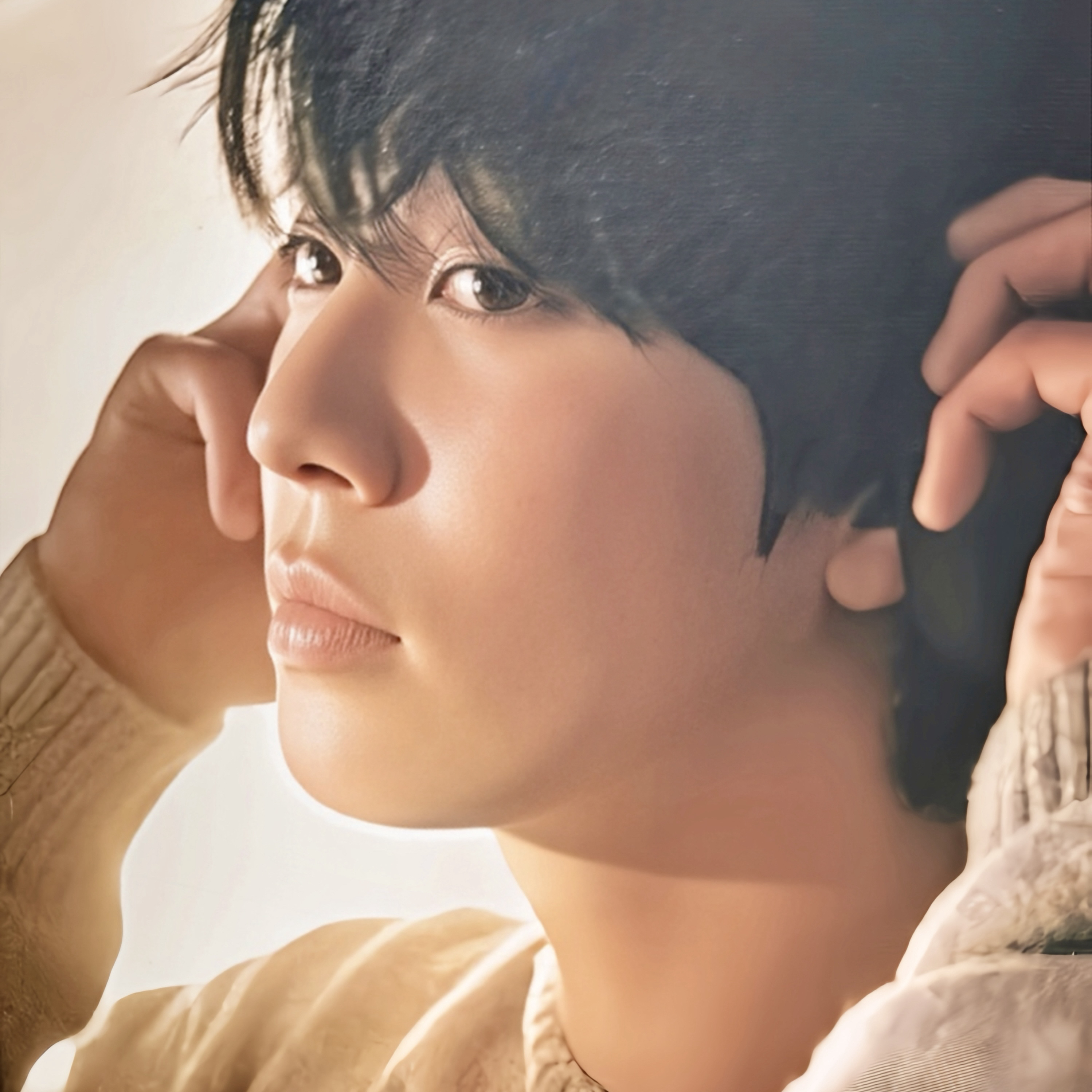 安孝燮的近期活动照