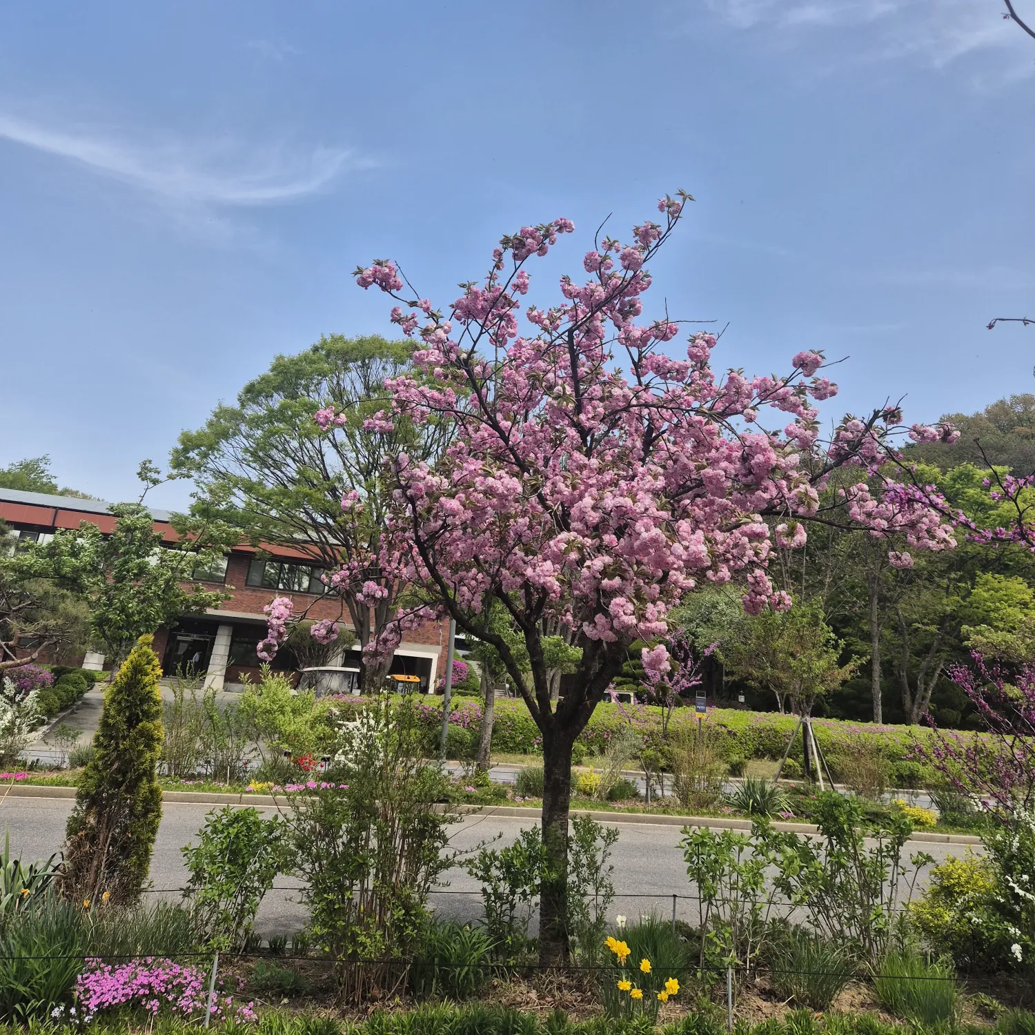 Foto kegiatan terbaru dari Kim Hojoong