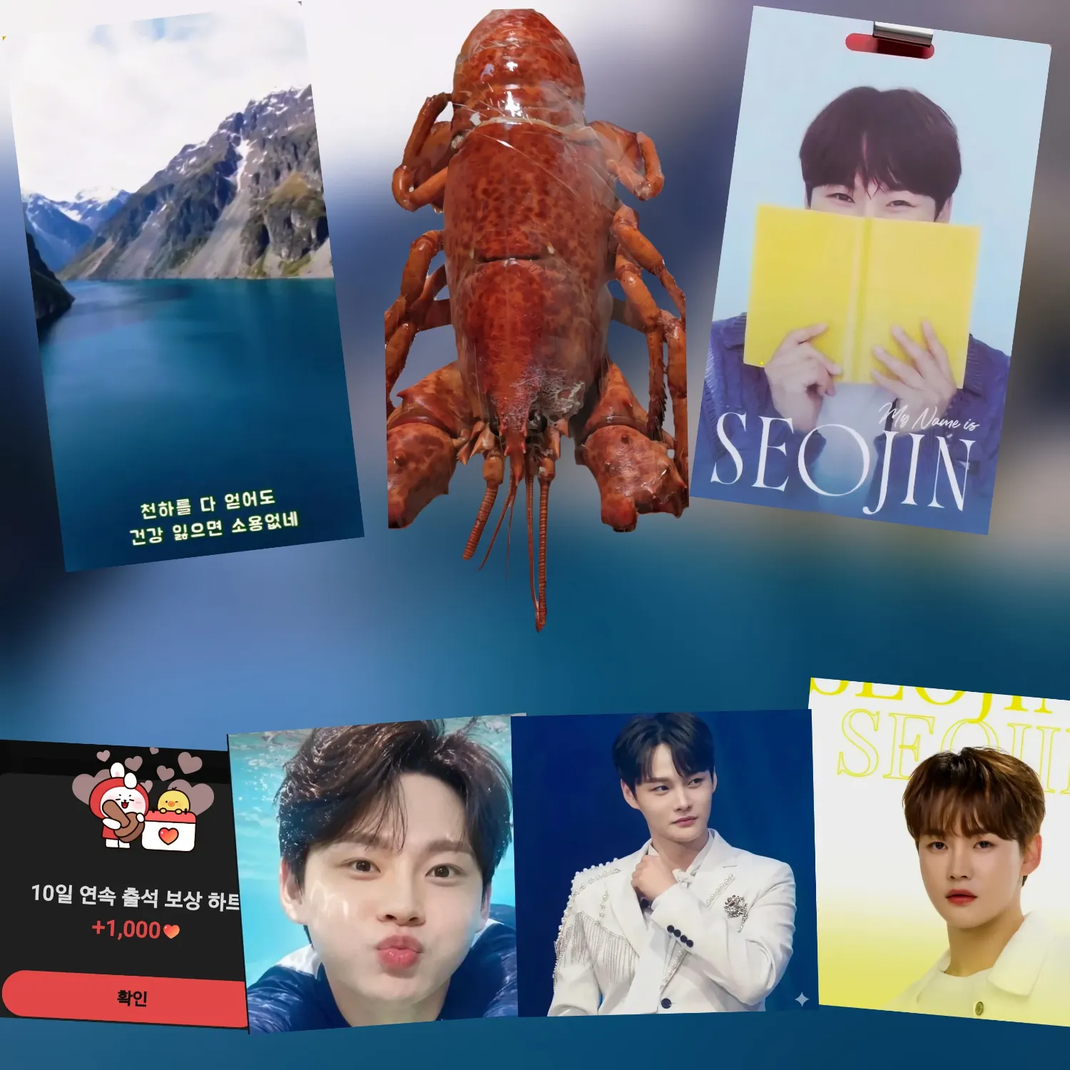 박서진 팬이 찍은 순간
