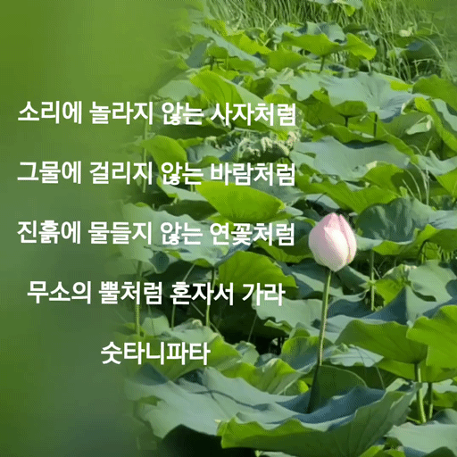 赵明燮的最新照片