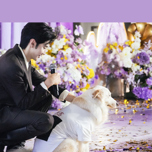 A moment captured by a fan of Chen Zhe Yuan