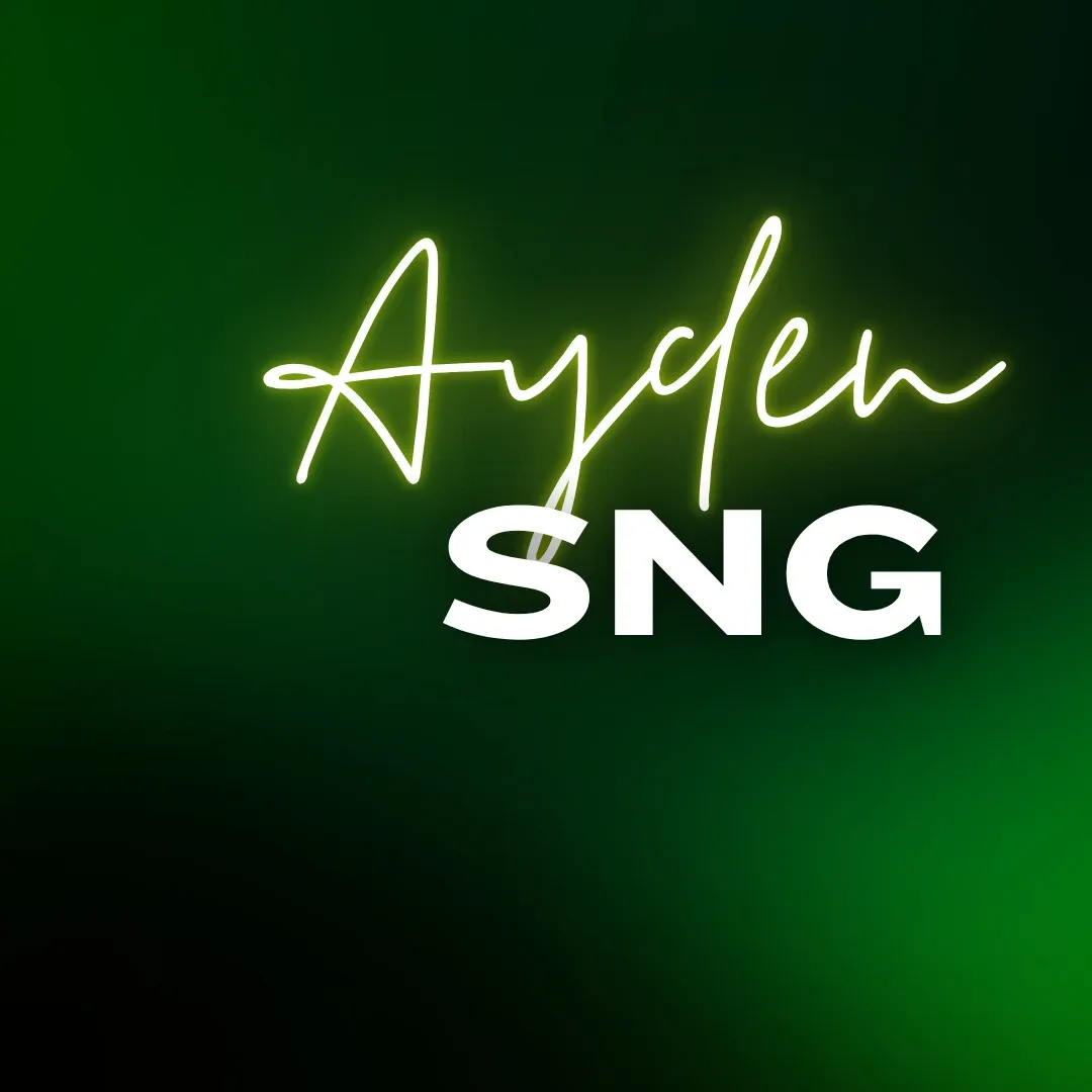 A moment captured by a fan of Ayden Sng