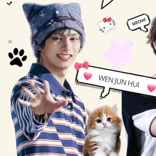 A moment captured by a fan of Wen Junhui